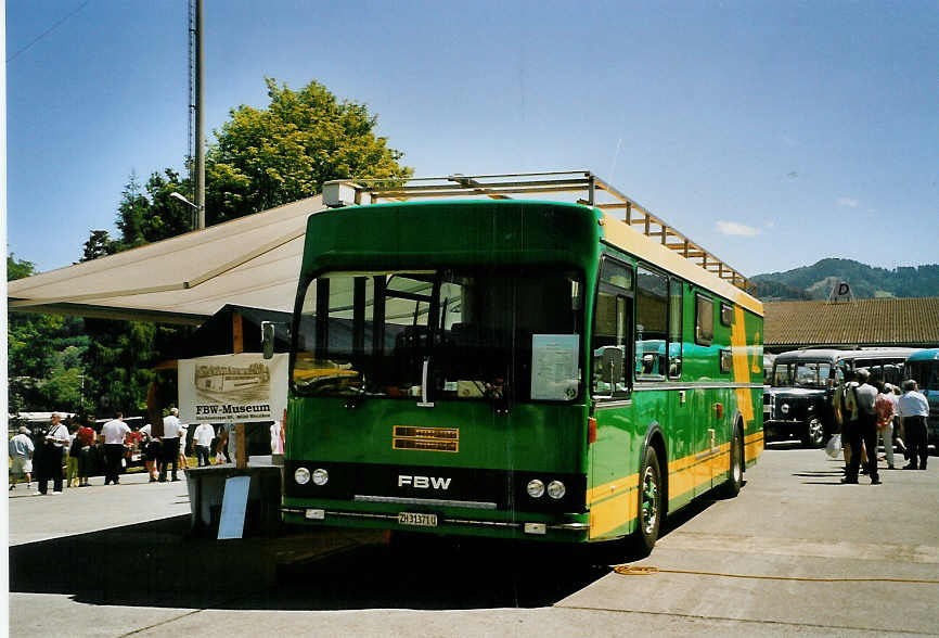 (086'532) - R�llin, Hirzel - ZH 31'371 U - FBW (ex ABM Meinisberg) am 18. Juni 2006 in Hinwil, AMP