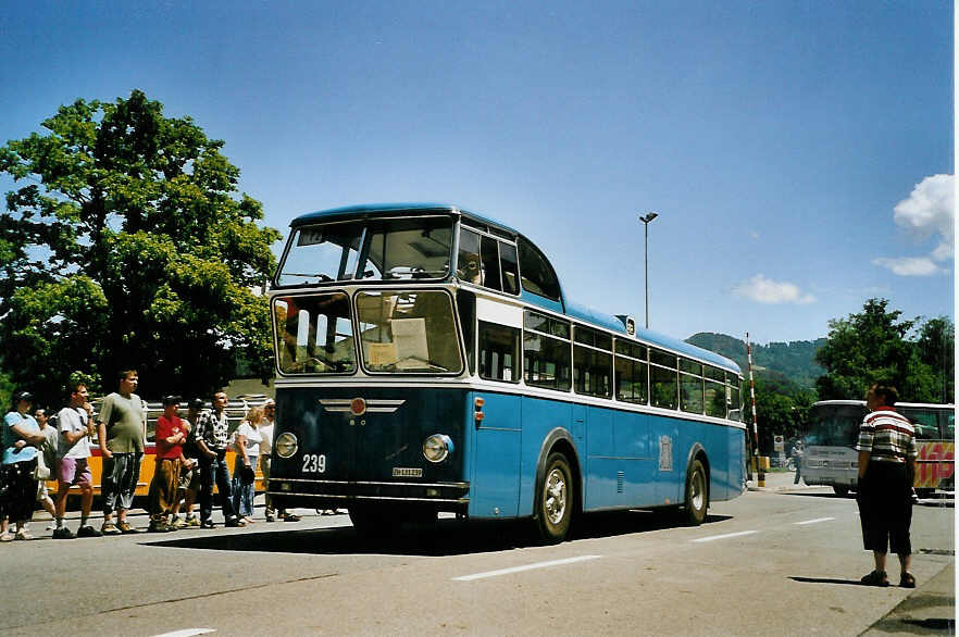 (086'618) - VBZ Z�rich - Nr. 239/ZH 131'239 - FBW/T�scher Hochlenker (ex Kamm, Schlieren; ex VBZ Z�rich Nr. 239; ex VBZ Z�rich Nr. 219) am 18. Juni 2006 in Hinwil, AMP