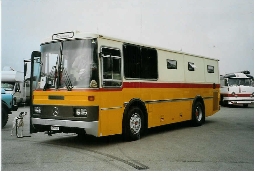 (089'137) - Treuthardt, T�gerwilen - TG 168'687 - Mercedes/Lauber (ex P 19'915; ex Lehner, B�rchen Nr. 2) am 19. August 2006 auf dem Gurnigelpass