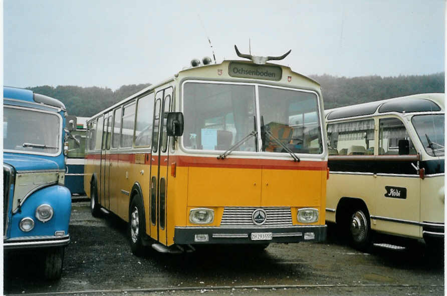 (095'002) - Gadliger, Horgen - ZH 293'555 - Saurer/T�scher (ex Lienert&Ehrler, Einsiedeln; ex Lienert, Einsiedeln) am 2. Juni 2007 in Thayngen, Saurertreffen
