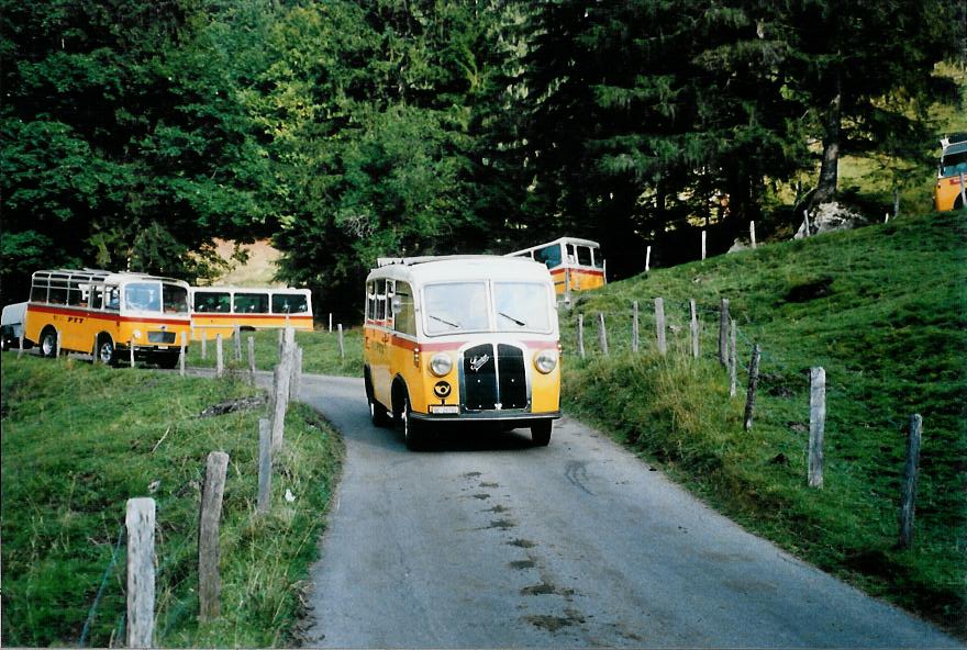 (111'219) - Schmid, Th�rishaus - Nr. 3/BE 26'760 - Saurer/Gangloff (ex Geiger, Adelboden Nr. 3) am 27. September 2008 bei Kiental