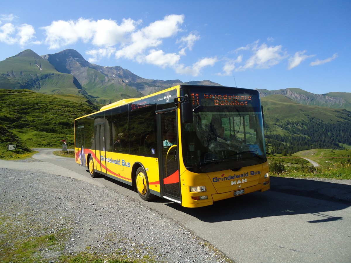(134'805) - AVG Grindelwald - Nr. 14/BE 202'568 - MAN/G�ppel am 3. Juli 2011 auf der Grossen Scheidegg