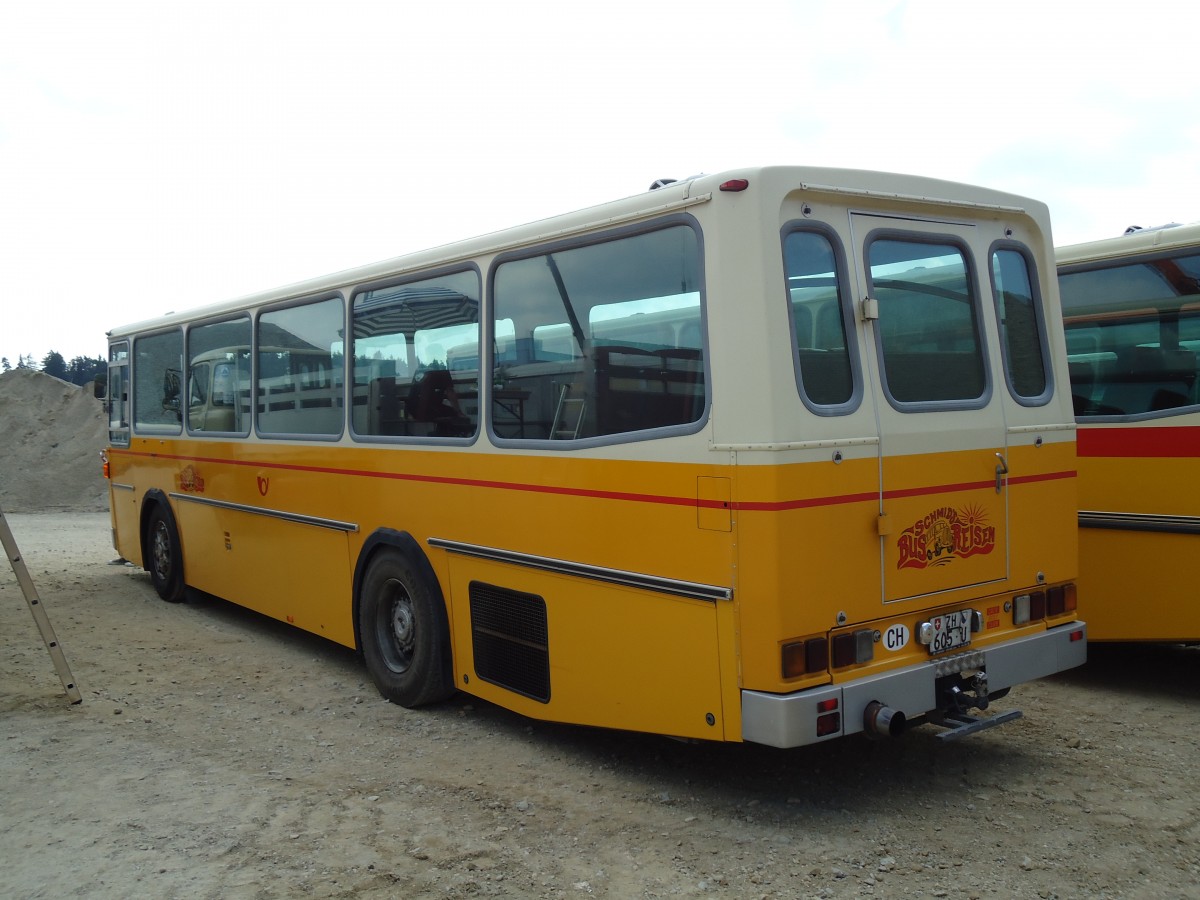 (146'741) - Schmid, Buchs - ZH 605 U - Saurer/T�scher (ex Sol�r+Fontana, Ilanz Nr. 2; ex Sol�r+Fontana, Ilanz Nr. 8) am 31. August 2013 in Niederbipp, Saurertreffen