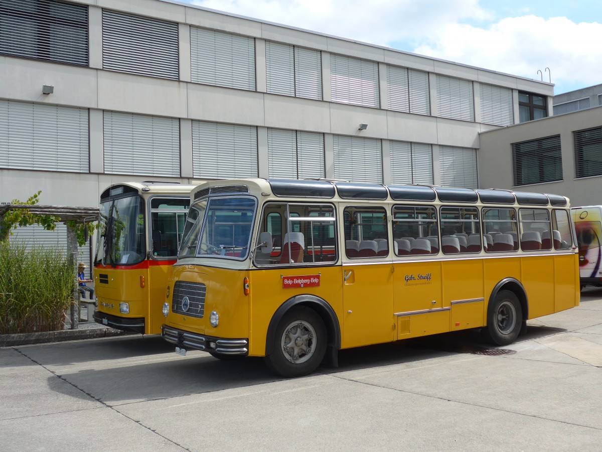 (154'577) - Streiff, Gelterkinden - AG 306'557 - Saurer/Gangloff (ex Oldie-Tours Z�risee, Wollerau; ex OTAG, Wald; ex Leibundgut, Obergoldbach; ex Krebs, Belpberg) am 30. August 2014 in Oberkirch, CAMPUS Sursee