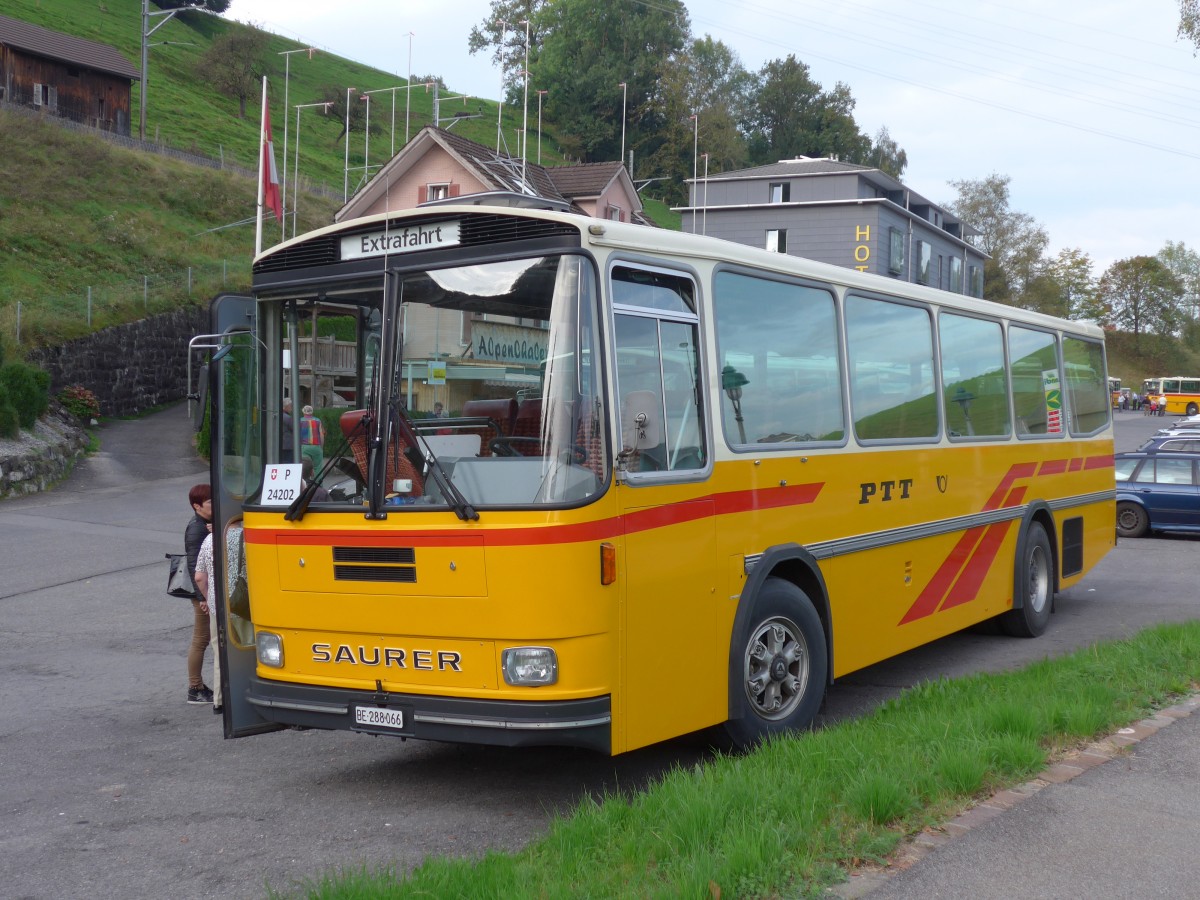 (155'677) - Thommen, Sutz - BE 288'066 - Saurer/Hess (ex P 24'202) am 12. Oktober 2014 in K�ssnacht, Rest. Frohsinn