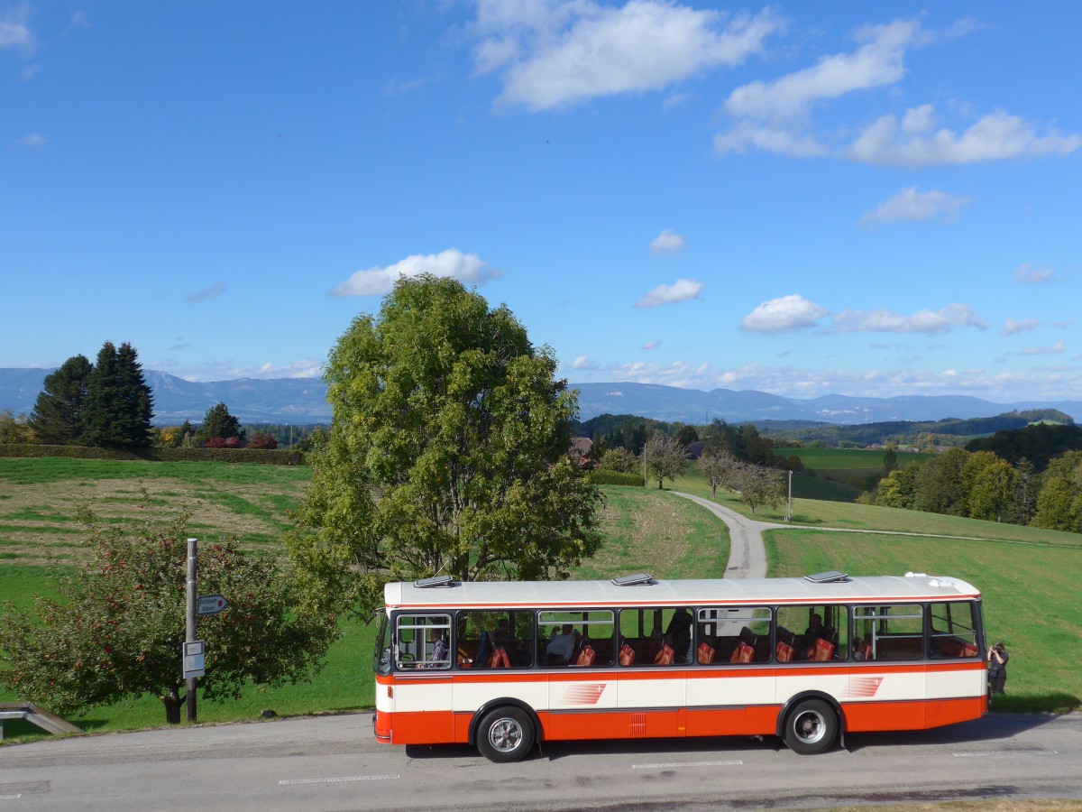 (166'025) - Frey, Opfikon - GL 15'272 - FBW/R&J (ex Tiemann, Oetwil Nr. 20; ex AAGS Schwyz Nr. 20) am 4. Oktober 2015 in Kaltacker, Br�gglen