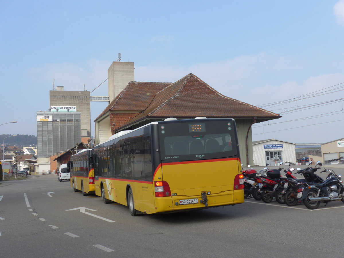 (169'412) - Steiner, Messen - SO 20'146 - MAN (ex SO 157'255) am 21. November 2016 beim Bahnhof Lohn-L�terkofen