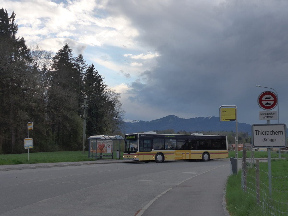 (170'144) - STI Thun - Nr. 129/BE 800'129 - MAN am 16. April 2016 in Thierachern, Br�gg