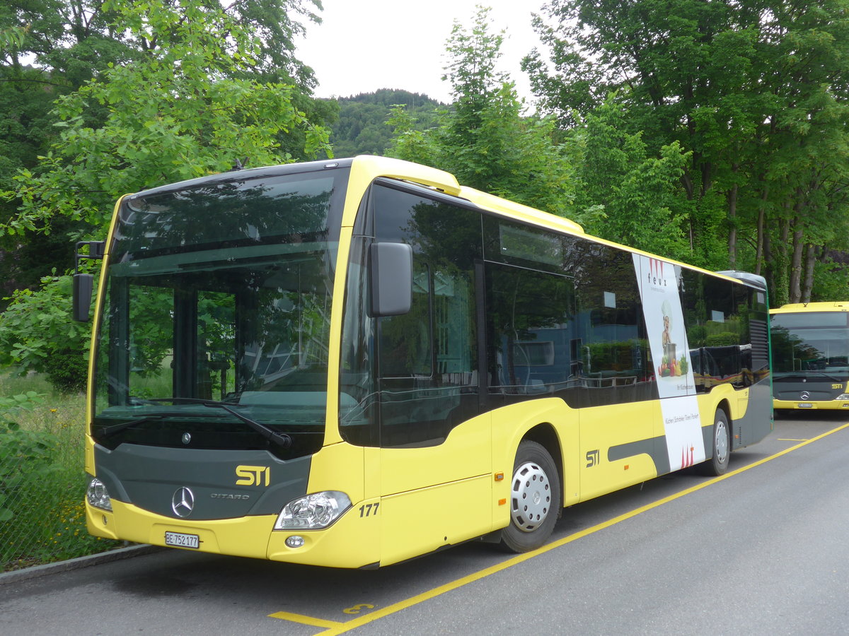 (171'522) - STI Thun - Nr. 177/BE 752'177 - Mercedes am 30. Mai 2016 bei der Schiffl�ndte Thun