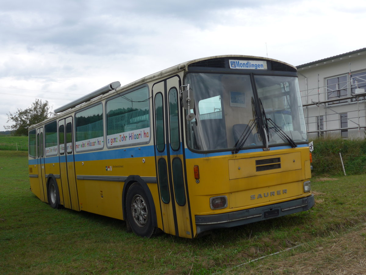 (174'065) - Aus der Schweiz: Hilariverein, Flurlingen - Saurer/Hess (ex P 25'826) am 20. August 2016 in B�singen, Bahnhof