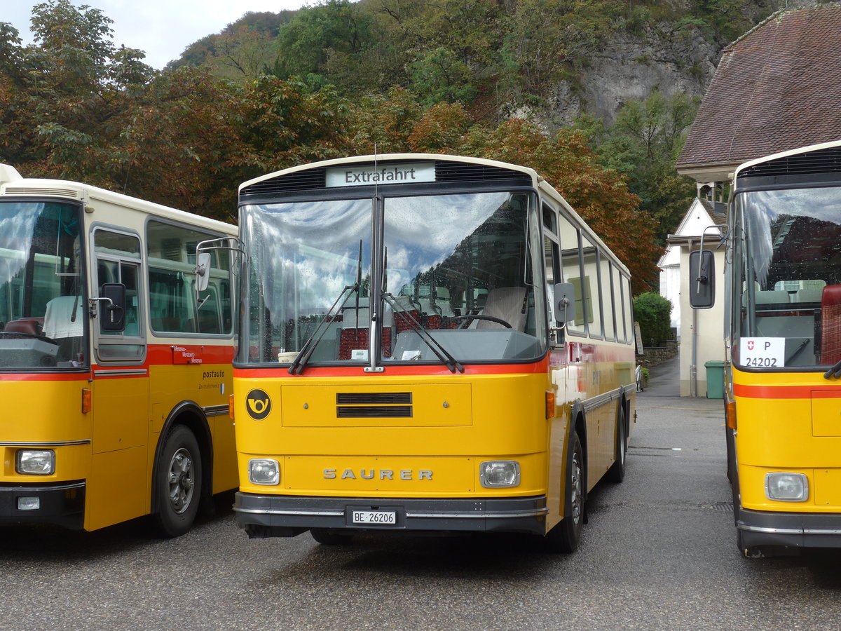 (175'326) - Schmid, Th�rishaus - BE 26'206 - Saurer/T�scher (ex P 24'244) am 2. Oktober 2016 in Oensingen, Bad Klus