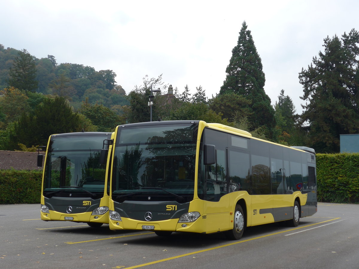 (175'591) - STI Thun - Nr. 185/BE 804'185 - Mercedes am 11. Oktober 2016 bei der Schiffl�ndte Thun