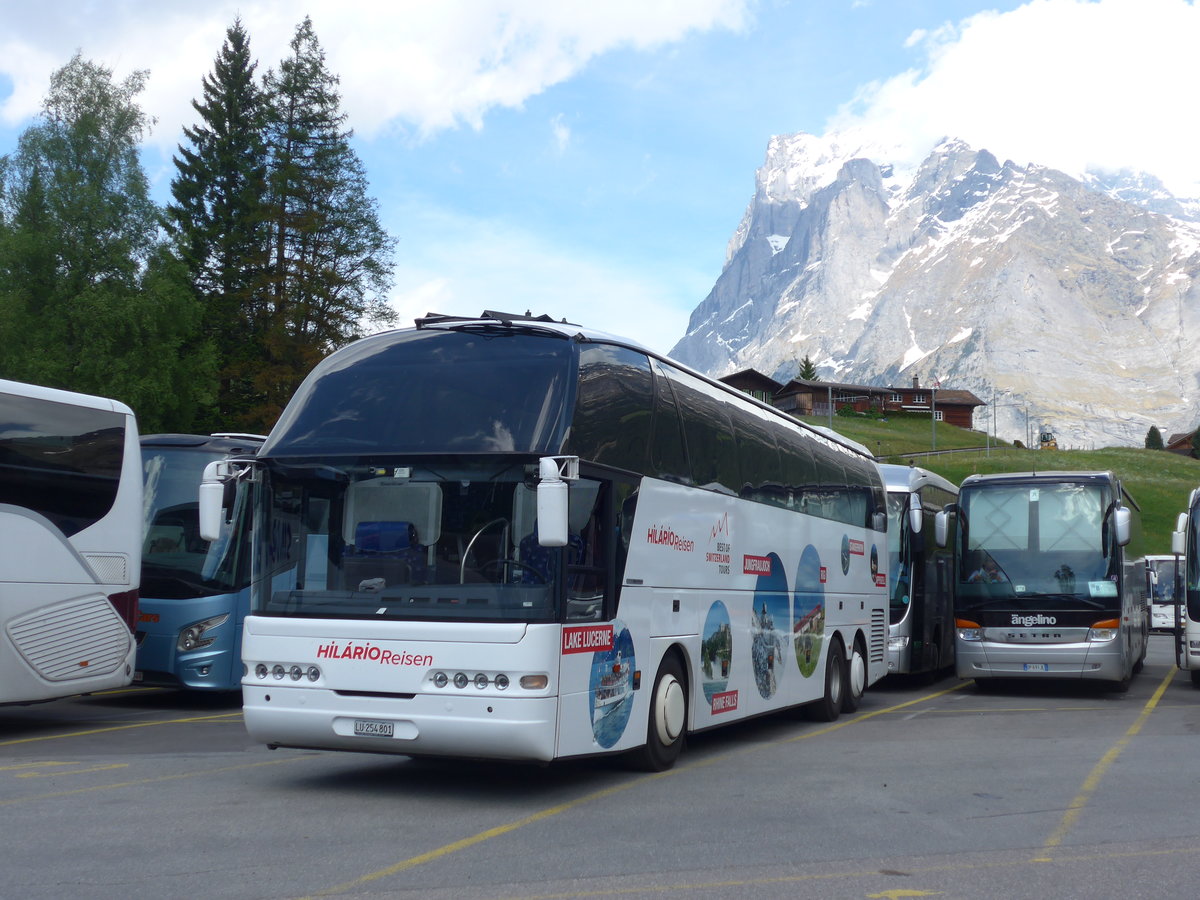 (180'742) - Hil�rio, Sch�tz - LU 254'801 - Neoplan am 24. Mai 2017 in Grindelwald, Grund