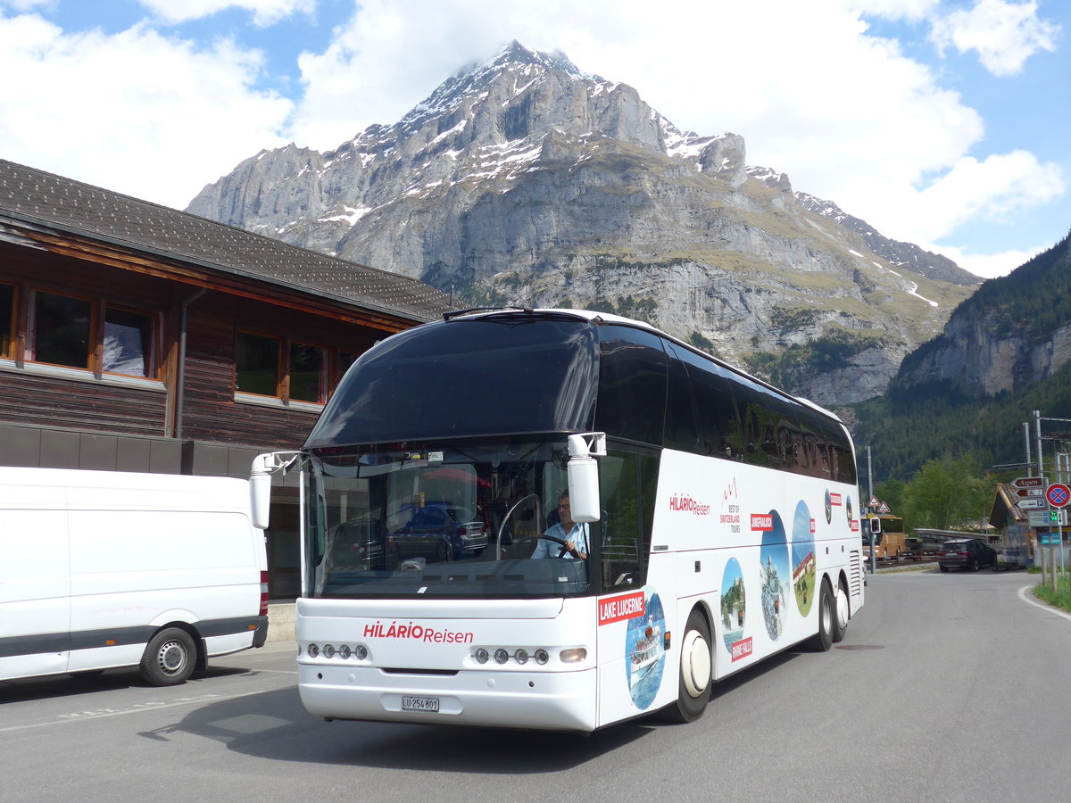 (180'746) - Hil�rio, Sch�tz - LU 254'801 - Neoplan am 24. Mai 2017 in Grindelwald, Grund