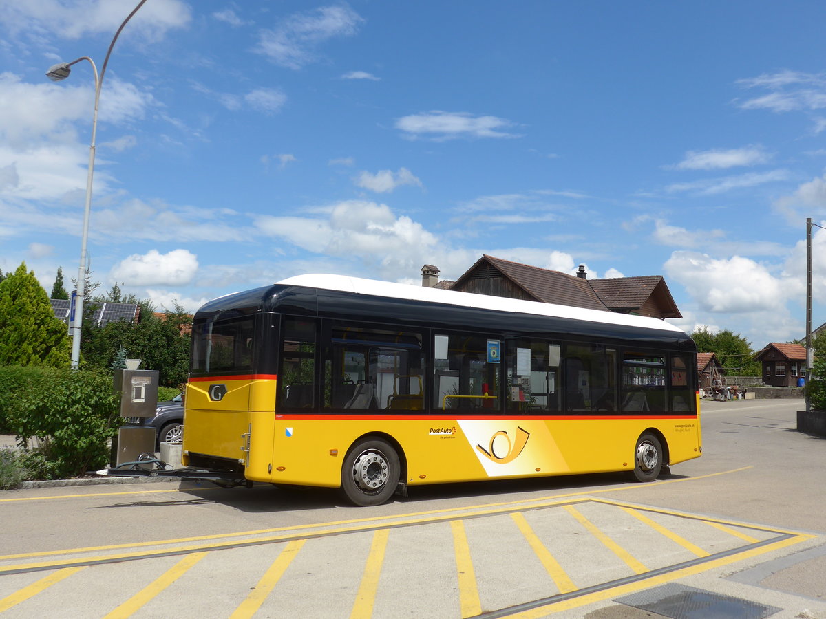 (181'985) - Moser, Flaach - Nr. 290/ZH 812'865 - G�ppel Personenanh�nger am 10. Juli 2017 in Altikon, Br�ckenwaage