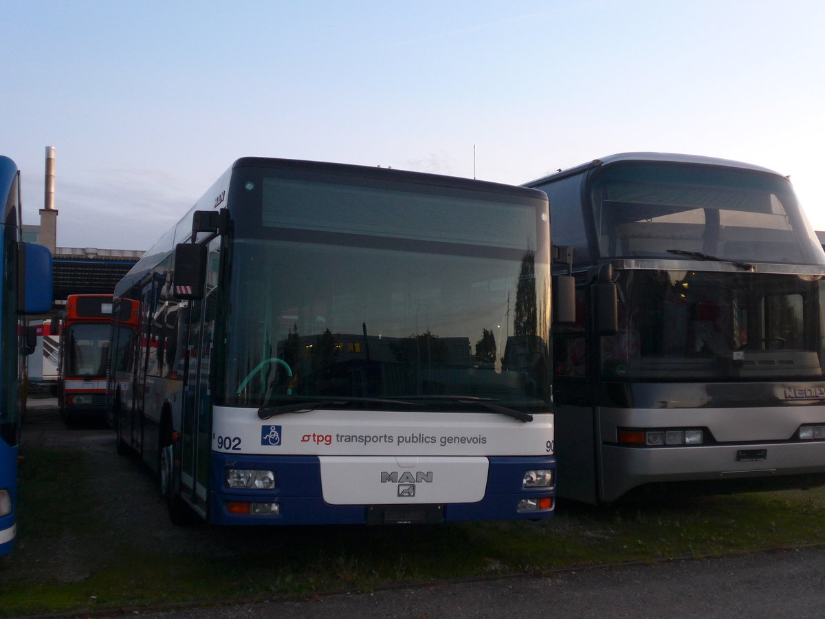 (185'974) - Globe-Limo, Gen�ve - Nr. 902 - MAN am 19. Oktober 2017 in Frauenfeld, Langdorfstrasse