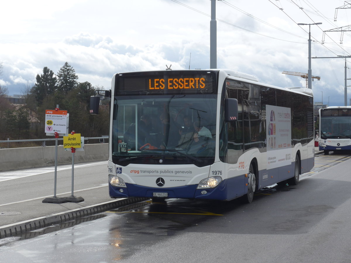 (189'274) - Globe-Limo, Gen�ve - Nr. 1976/GE 960'210 - Mercedes am 12. M�rz 2018 in Gen�ve, A�roport