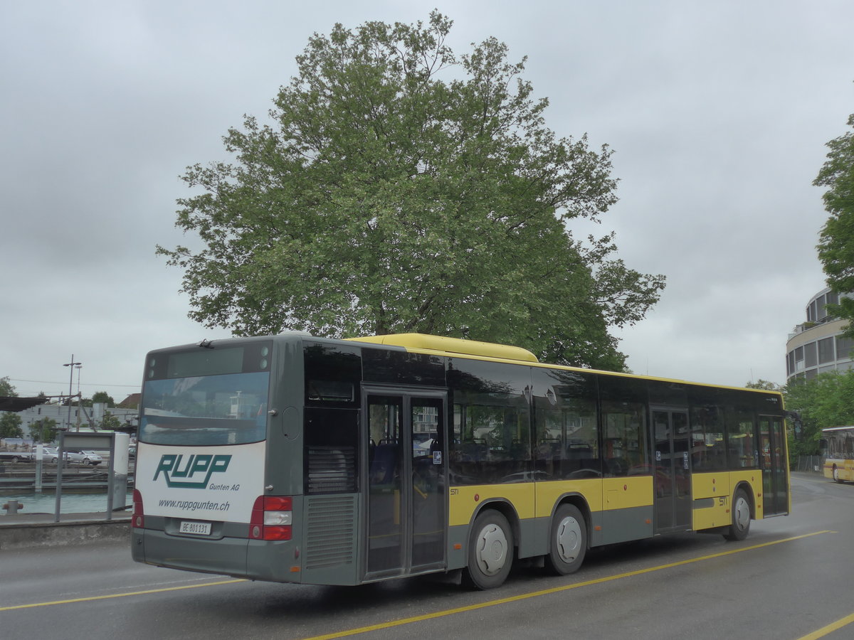(193'010) - STI Thun - Nr. 131/BE 801'131 - MAN am 13. Mai 2018 bei der Schiffl�ndte Thun