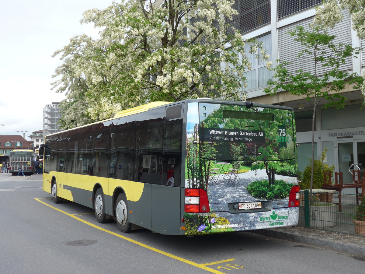 (193'018) - STI Thun - Nr. 189/BE 804'189 - MAN am 14. Mai 2018 bei der Schiffl�ndte Thun