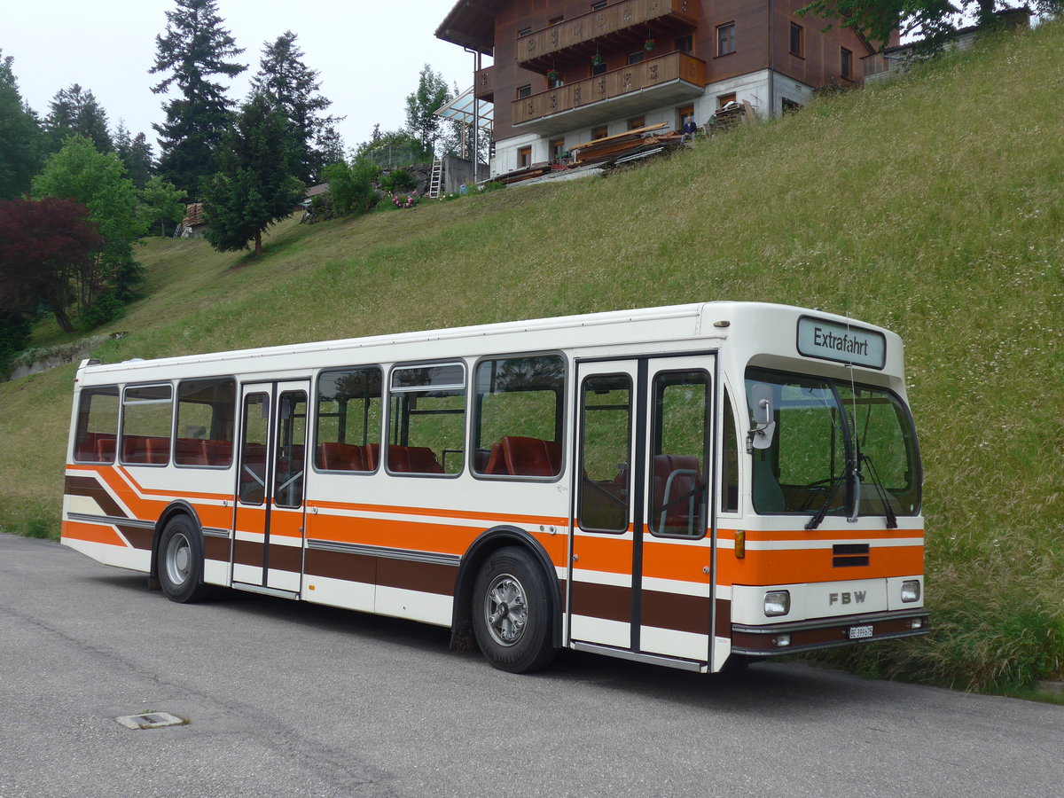 (193'673) - Wegm�ller, M�nsingen - BE 399'675 - FBW/R&J (ex Bamert, Wollerau) am 3. Juni 2018 beim Bahnhof Emmenmatt