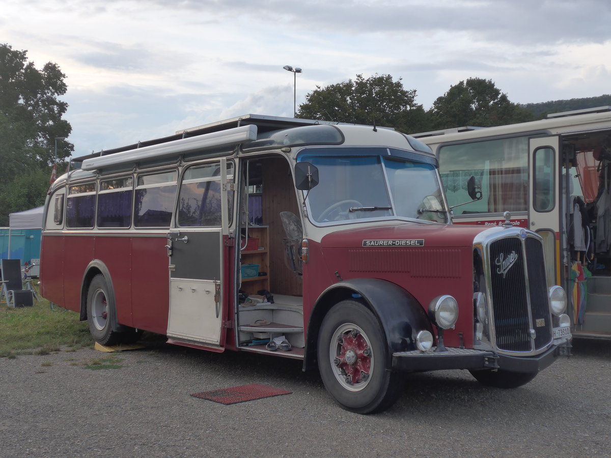 (195'916) - Morger, Horgenberg - ZH 73'310 - Saurer/T�scher (ex P 23'167; ex Casper, Lenzerheide) am 17. August 2018 in Wettingen, Zirkuswiese