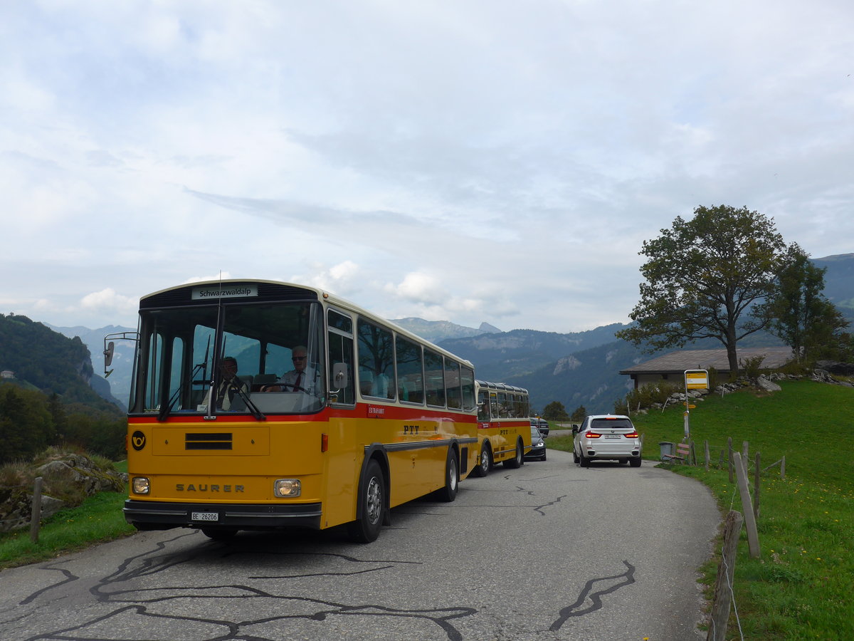 (197'732) - Schmid, Th�rishaus - BE 26'206 - Saurer/T�scher (ex P 24'244) am 16. September 2018 in Geissholz, Hori
