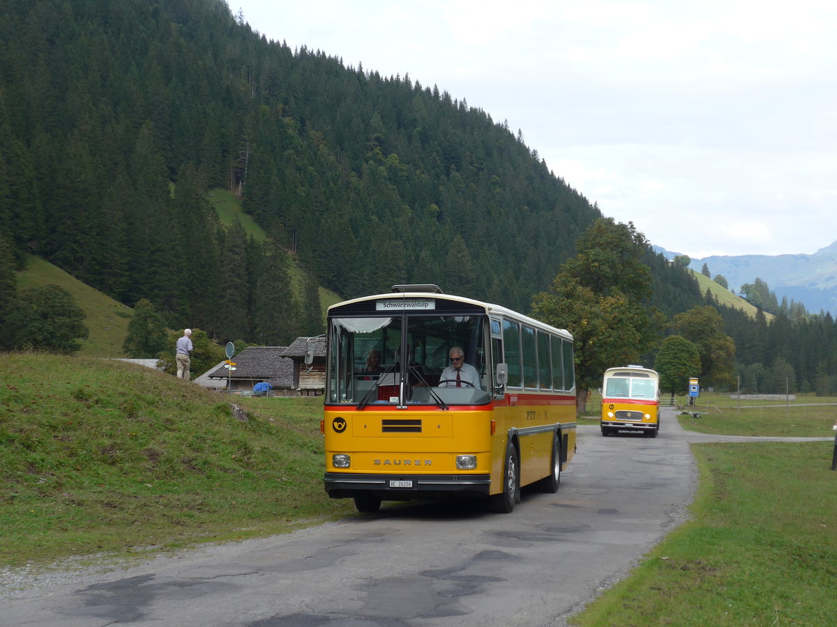 (197'785) - Schmid, Th�rishaus - BE 26'206 - Saurer/T�scher (ex P 24'244) am 16. September 2018 in Gschwandtenmaad