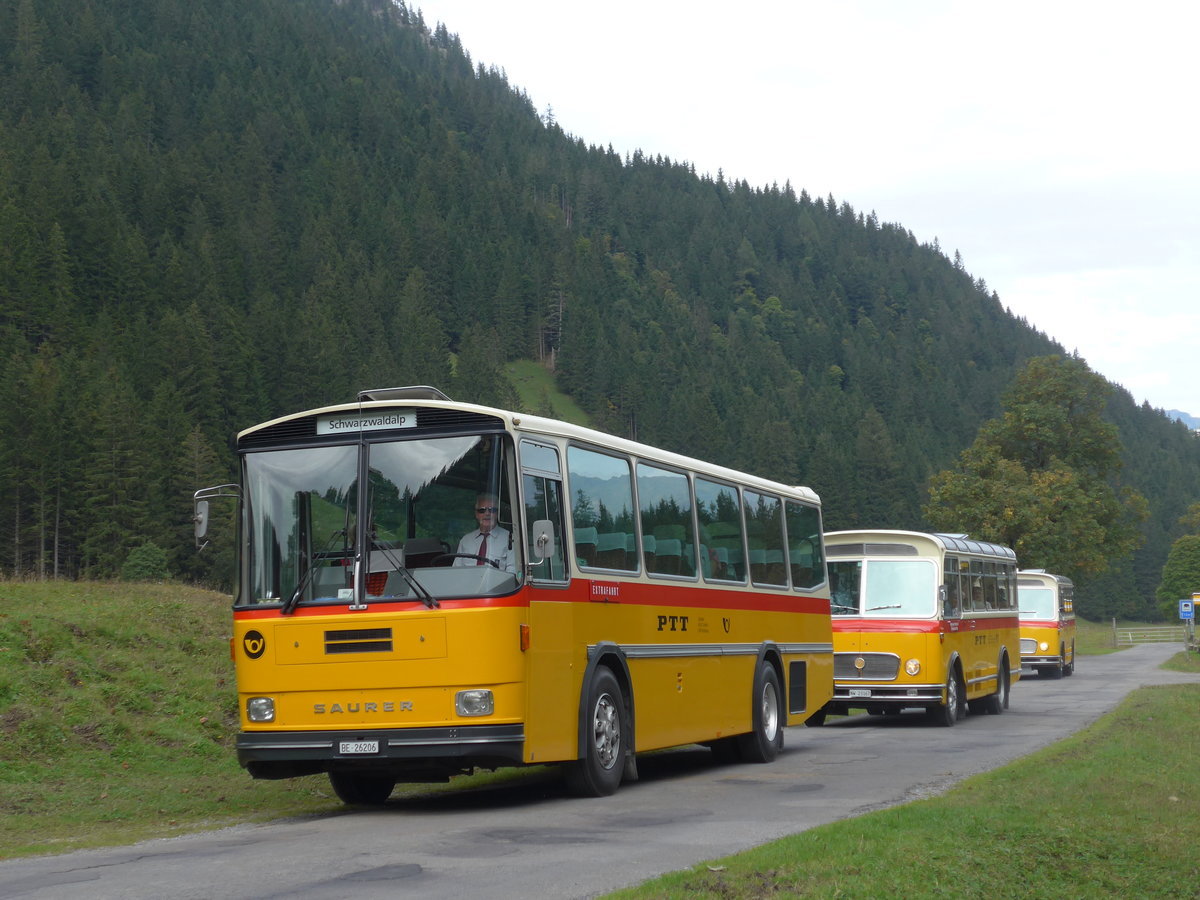 (197'786) - Schmid, Th�rishaus - BE 26'206 - Saurer/T�scher (ex P 24'244) am 16. September 2018 in Gschwandtenmaad