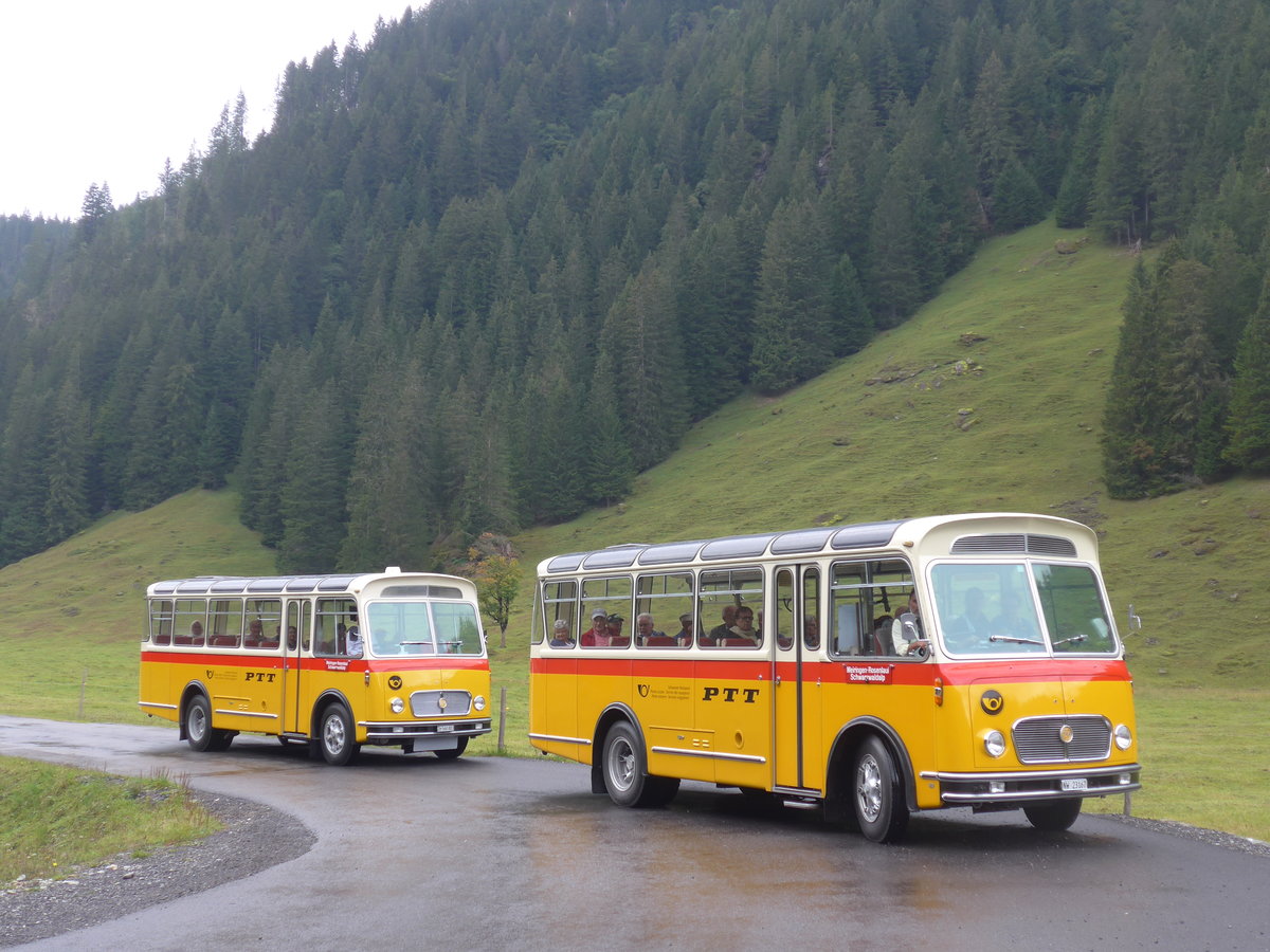 (197'828) - Frutig, Birmensdorf - ZH 560'883 - FBW/FHS (ex P 23'217) + M�ller, Ennetmoos - NW 23'167 - FBW/Gangloff (ex Rentsch, Gunten; ex P 23'203; ex P 21'003) am 16. September 2018 in Gschwandtenmaad