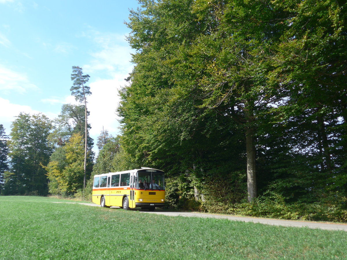 (198'014) - Amstein, Willisau - LU 12'052 - Saurer/T�scher (ex Allemann, Niederbipp; ex Semadeni, Poschiavo; ex Kasper, Poschiavo; ex PostAuto Graub�nden; ex P 24'285) am 30. September 2018 in Wasen, Huttwilstrasse