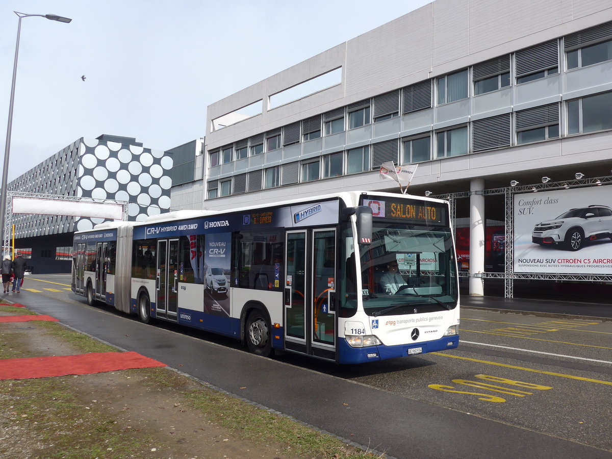 (202'159) - TPG Gen�ve - Nr. 1184/GE 960'934 - Mercedes am 11. M�rz 2019 in Gen�ve, Palexpo