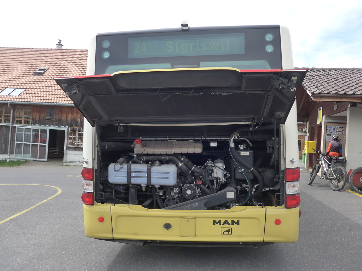 (203'860) - STI Thun - Nr. 133/BE 801'133 - MAN/G�ppel am 21. April 2019 in Schwanden, S�ge