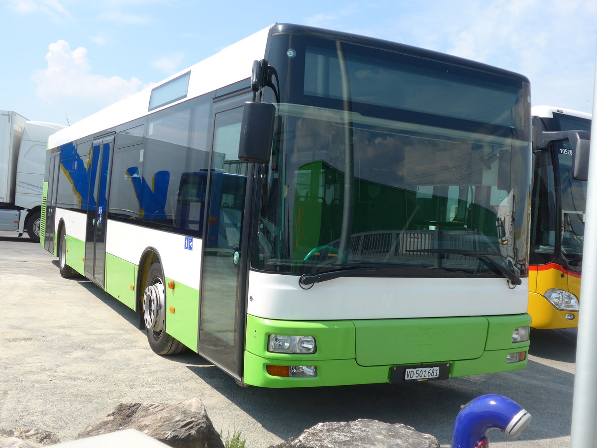 (205'362) - Interbus, Yverdon - VD 501'681 - MAN (ex transN, La Chaux-de-Fonds Nr. 205; ex TN Neuch�tel Nr. 205) am 25. Mai 2019 in Kerzers, Interbus