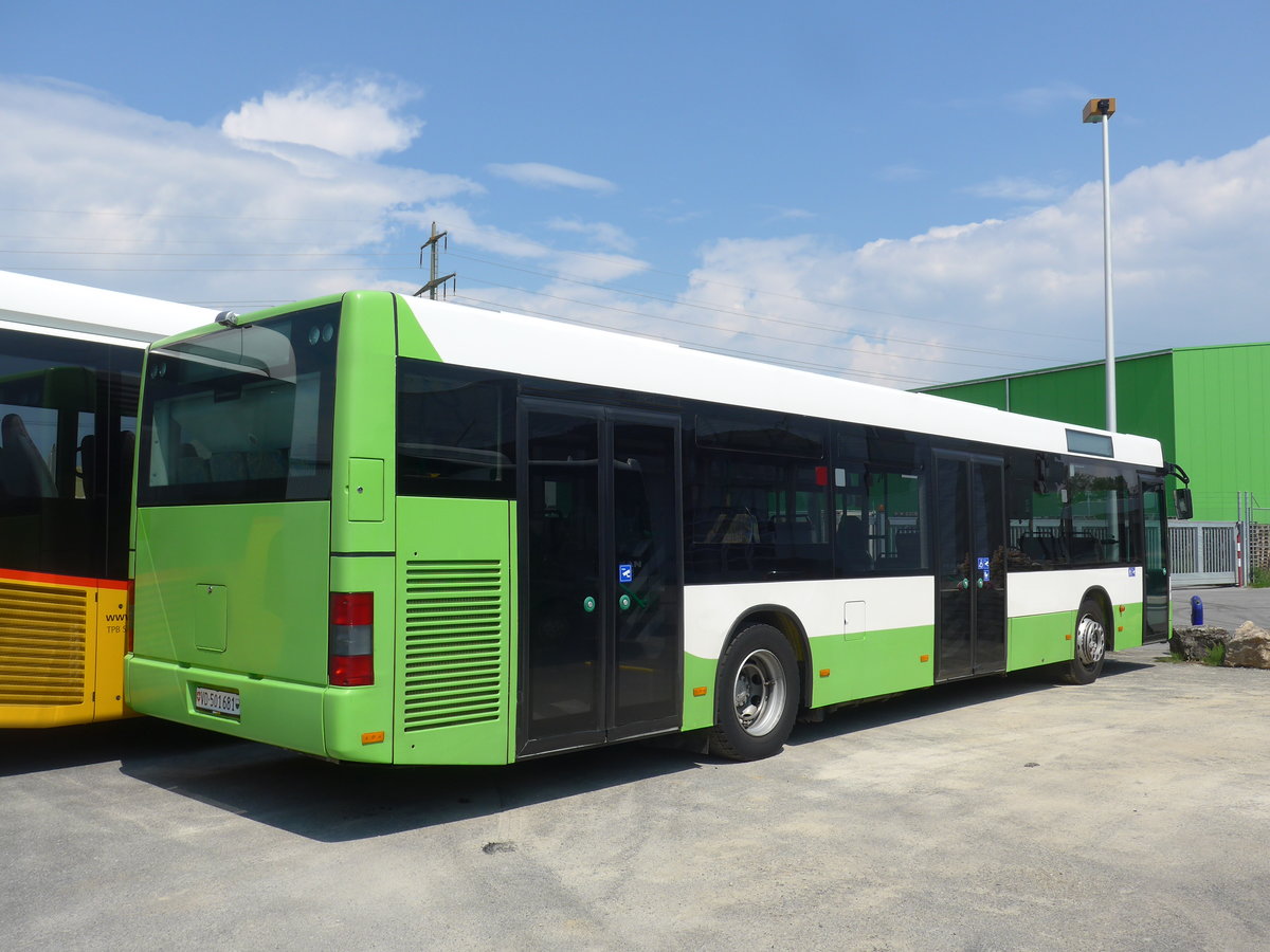 (205'381) - Interbus, Yverdon - VD 501'681 - MAN (ex transN, La Chaux-de-Fonds Nr. 205; ex TN Neuch�tel Nr. 205) am 25. Mai 2019 in Kerzers, Interbus