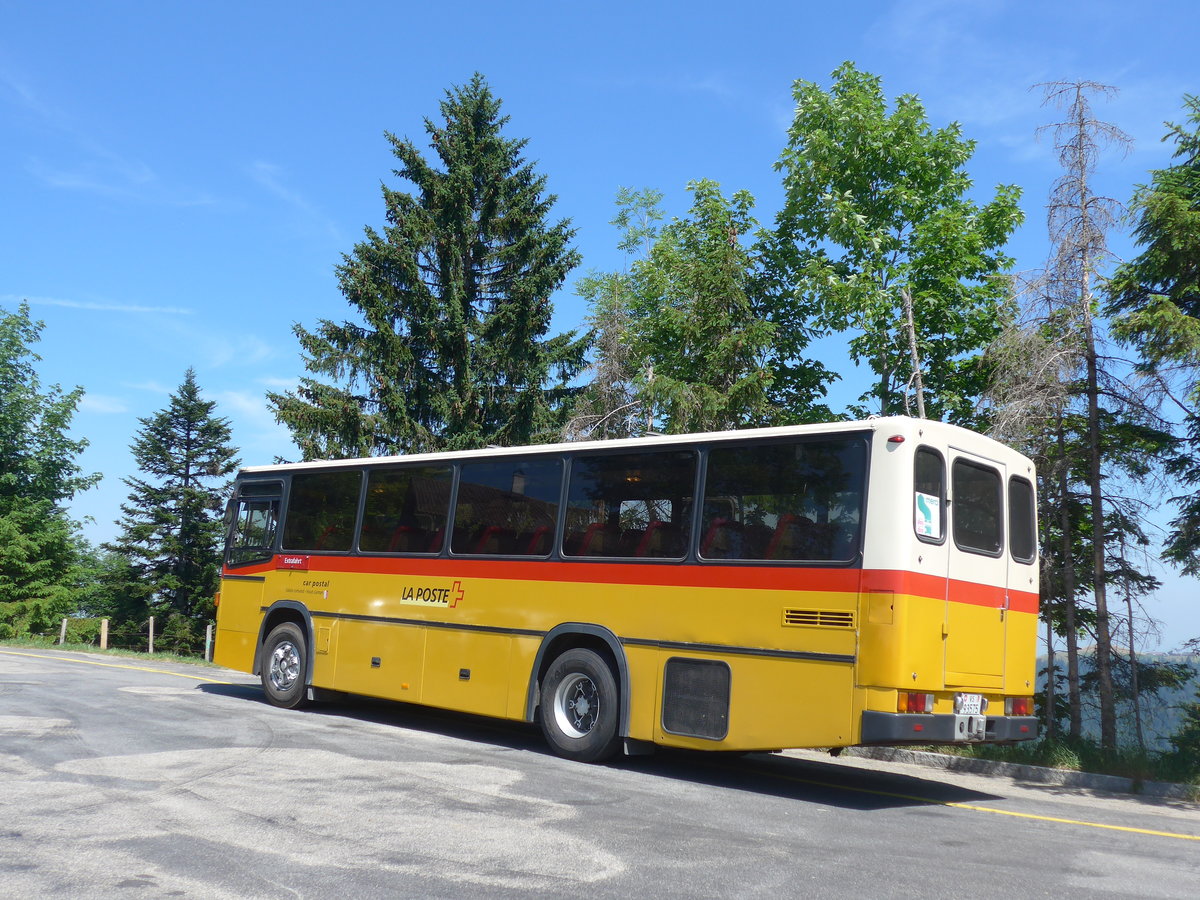 (206'878) - Oser, B�rchen - VS 93'575 - NAW/Lauber (ex Epiney, Ayer) am 30. Juni 2019 auf der L�derenalp