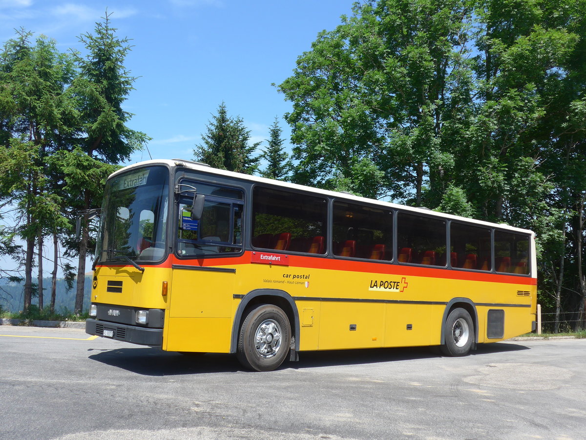 (206'892) - Oser, B�rchen - VS 93'575 - NAW/Lauber (ex Epiney, Ayer) am 30. Juni 2019 auf der L�derenalp