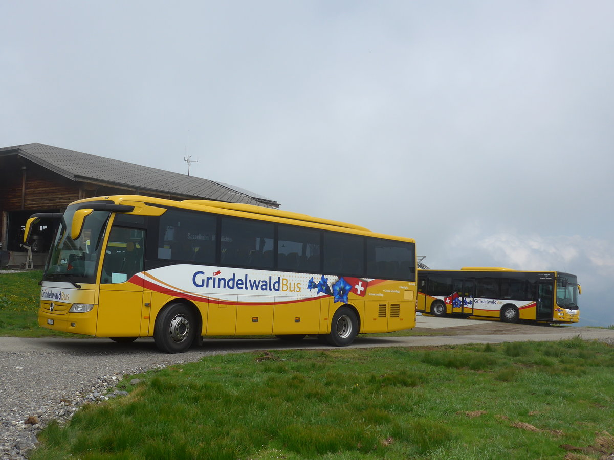 (207'718) - AVG Grindelwald - Nr. 25/BE 73'249 - Mercedes am 9. Juli 2019 auf dem M�nnlichen