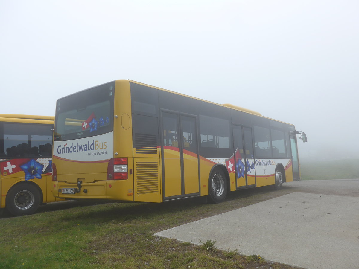 (207'722) - AVG Grindelwald - Nr. 19/BE 363'305 - MAN/G�ppel am 9. Juli 2019 auf dem M�nnlichen 