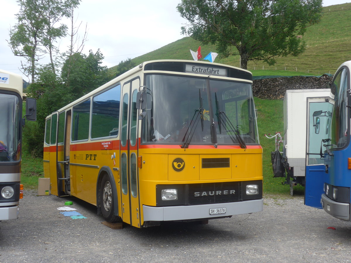 (208'804) - Roth, Z�rich - SH 36'376 - Saurer/T�scher (ex Looser, Elm; ex Mattli, Wassen) am 17. August 2019 in Atzm�nnig, Schutt