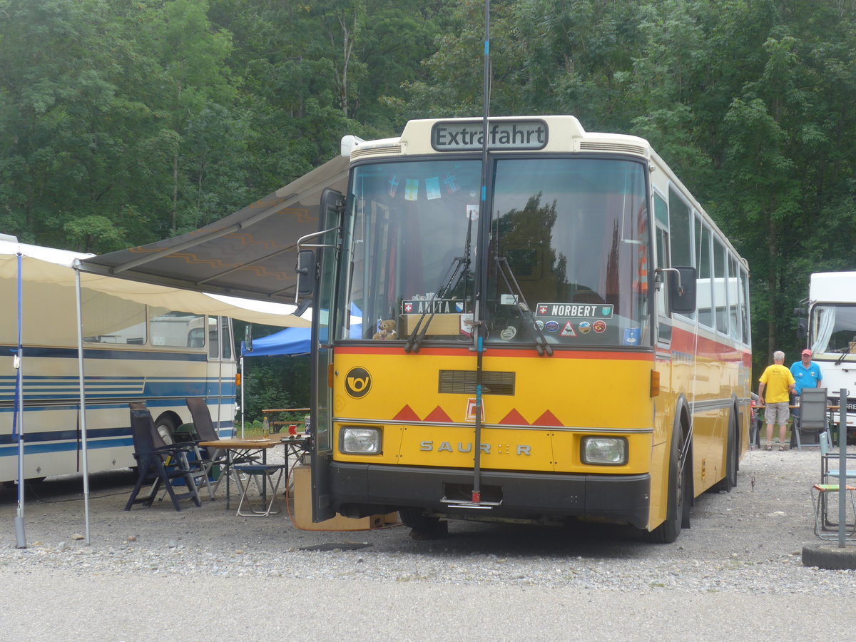 (208'823) - Toldo, Z�rich - ZH 124'701 - Saurer/R&J (ex Peter, Pfaffnau) am 17. August 2019 in Atzm�nnig, Schutt