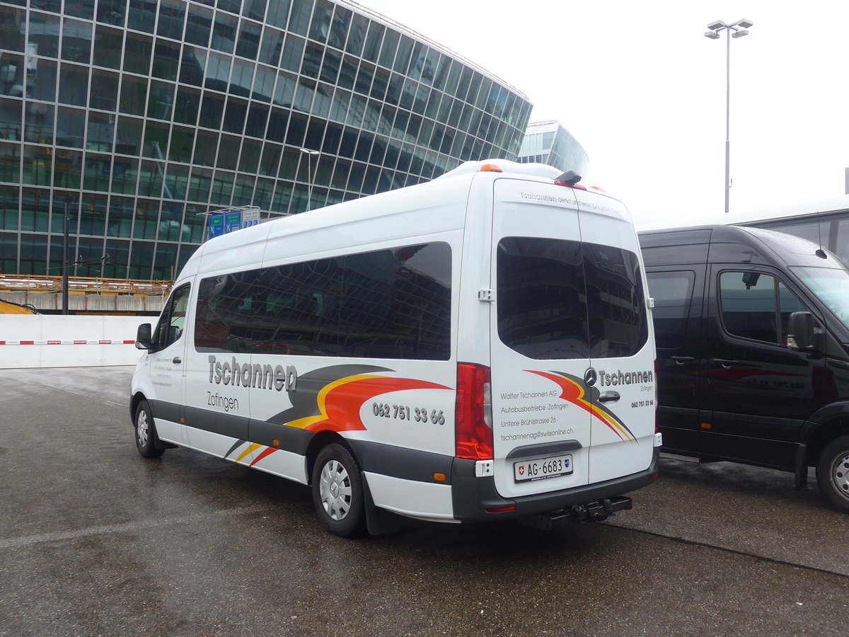 (209'413) - Tschannen, Zofingen - Nr. 11/AG 6683 - Mercedes am 8. September 2019 in Z�rich, Flughafen