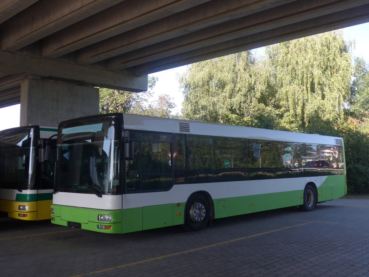 (209'671) - transN, La Chaux-de-Fonds - Nr. 204 - MAN (ex TN Neuch�tel Nr. 204) am 15. September 2019 in Kerzers, Murtenstrasse