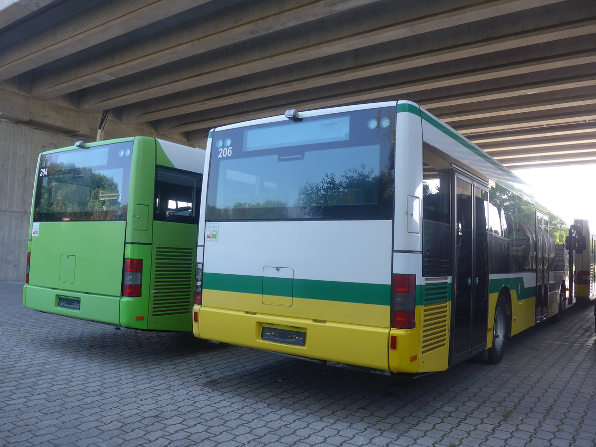 (209'674) - transN, La Chaux-de-Fonds - Nr. 206 - MAN (ex TN Neuch�tel Nr. 206) am 15. September 2019 in Kerzers, Murtenstrasse