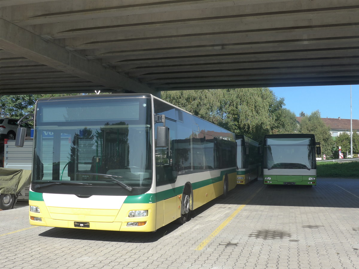 (209'675) - transN, La Chaux-de-Fonds - Nr. 207 - MAN (ex TN Neuch�tel Nr. 207) am 15. September 2019 in Kerzers, Murtenstrasse