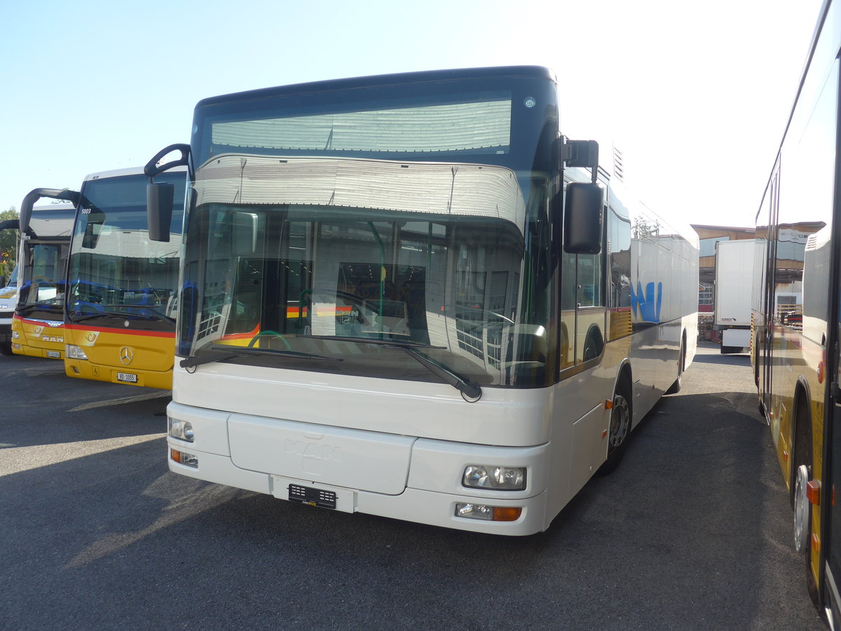 (209'697) - Interbus, Yverdon - Nr. 61 - MAN (ex transN, La Chaux-de-Fonds; ex TN Neuch�tel) am 15. September 2019 in Kerzers, Interbus