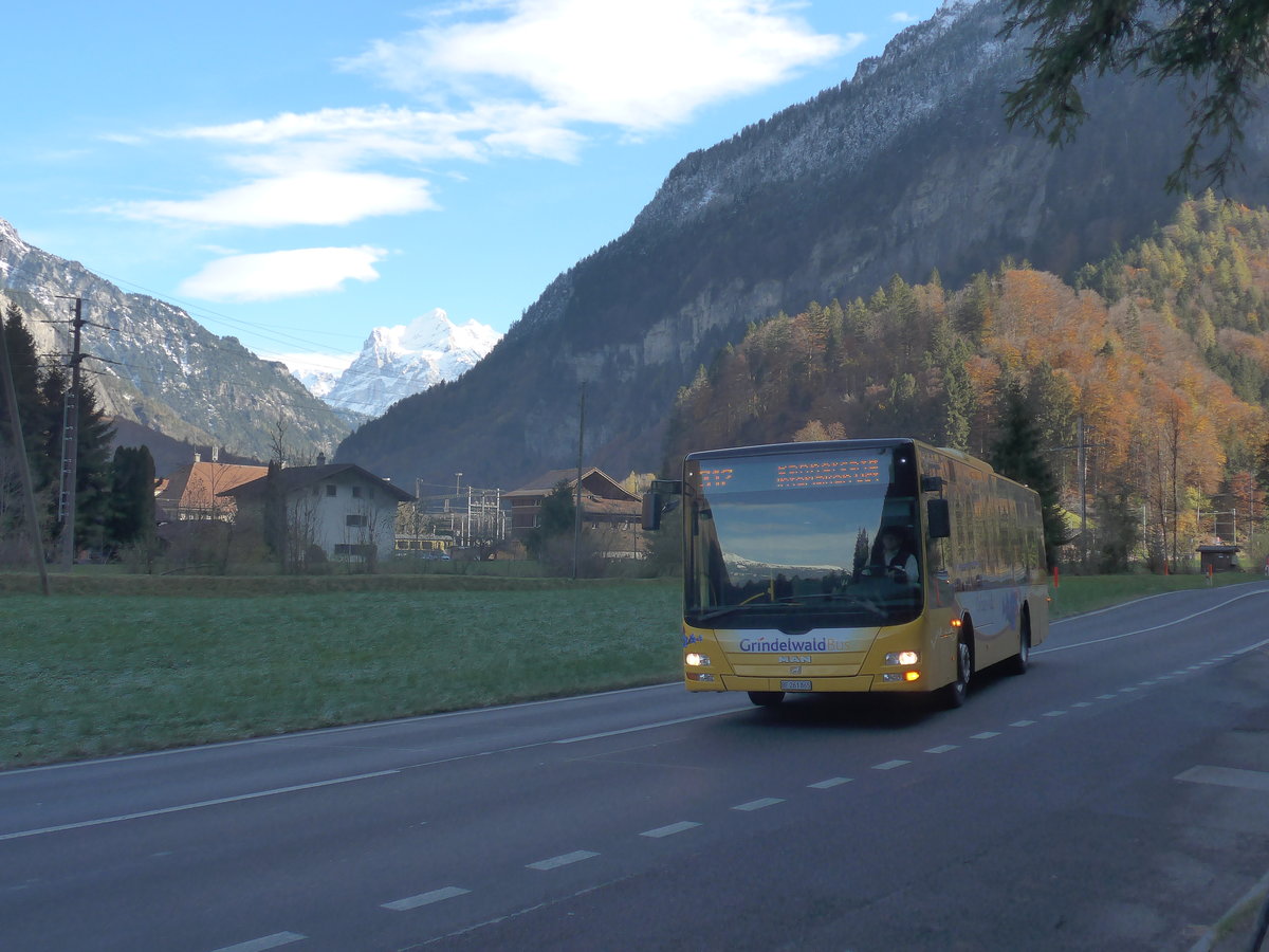 (211'001) - AVG Grindelwald - Nr. 11/BE 261'865 - MAN/G�ppel am 11. November 2019 in Zweil�tschinen, Abzweigung