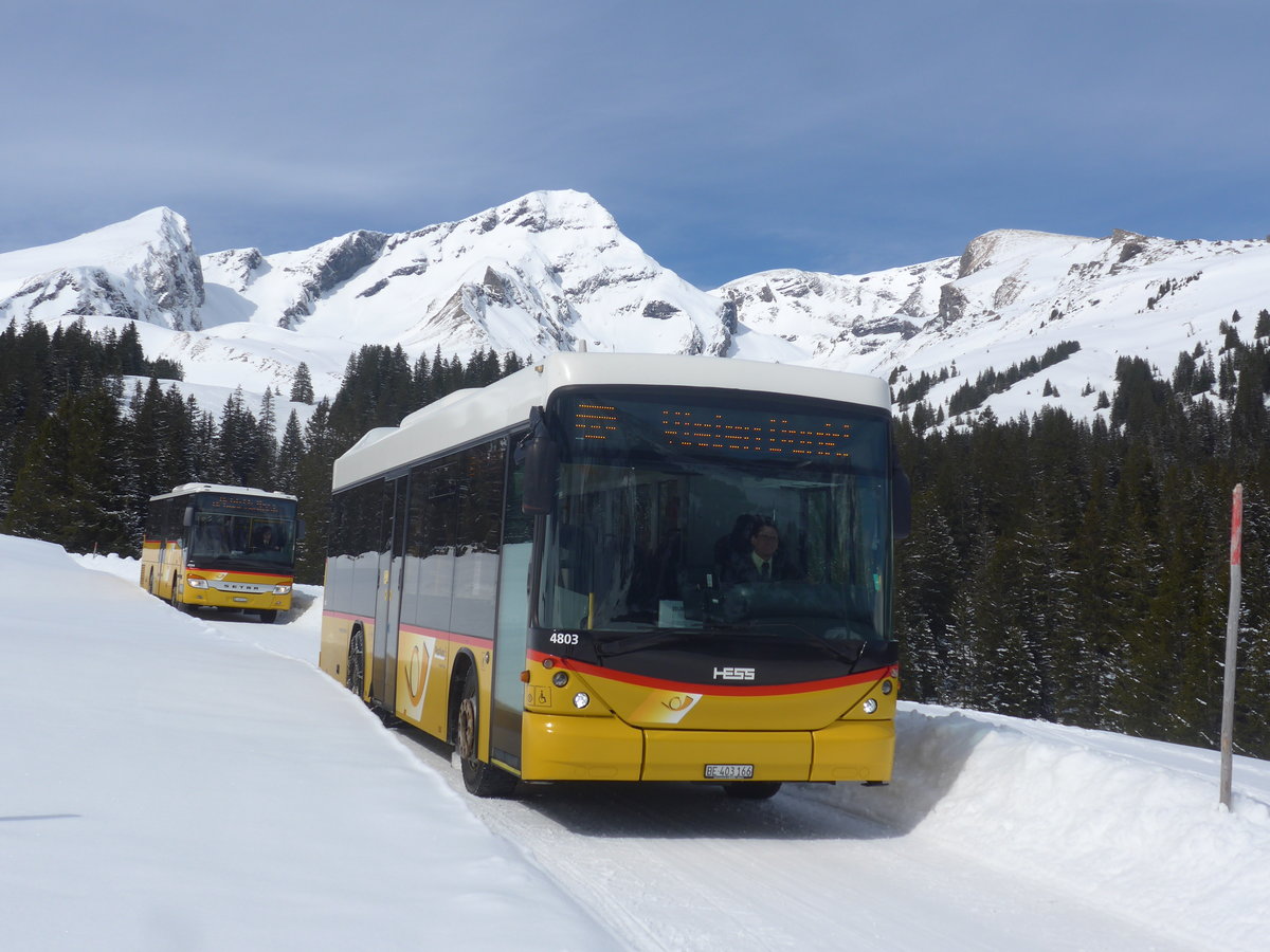 (215'077) - PostAuto Bern - BE 403'166 - Scania/Hess (ex AVG Meiringen Nr. 66; ex Steiner, Messen) am 8. M�rz 2020 in Grindelwald, Alpiglen