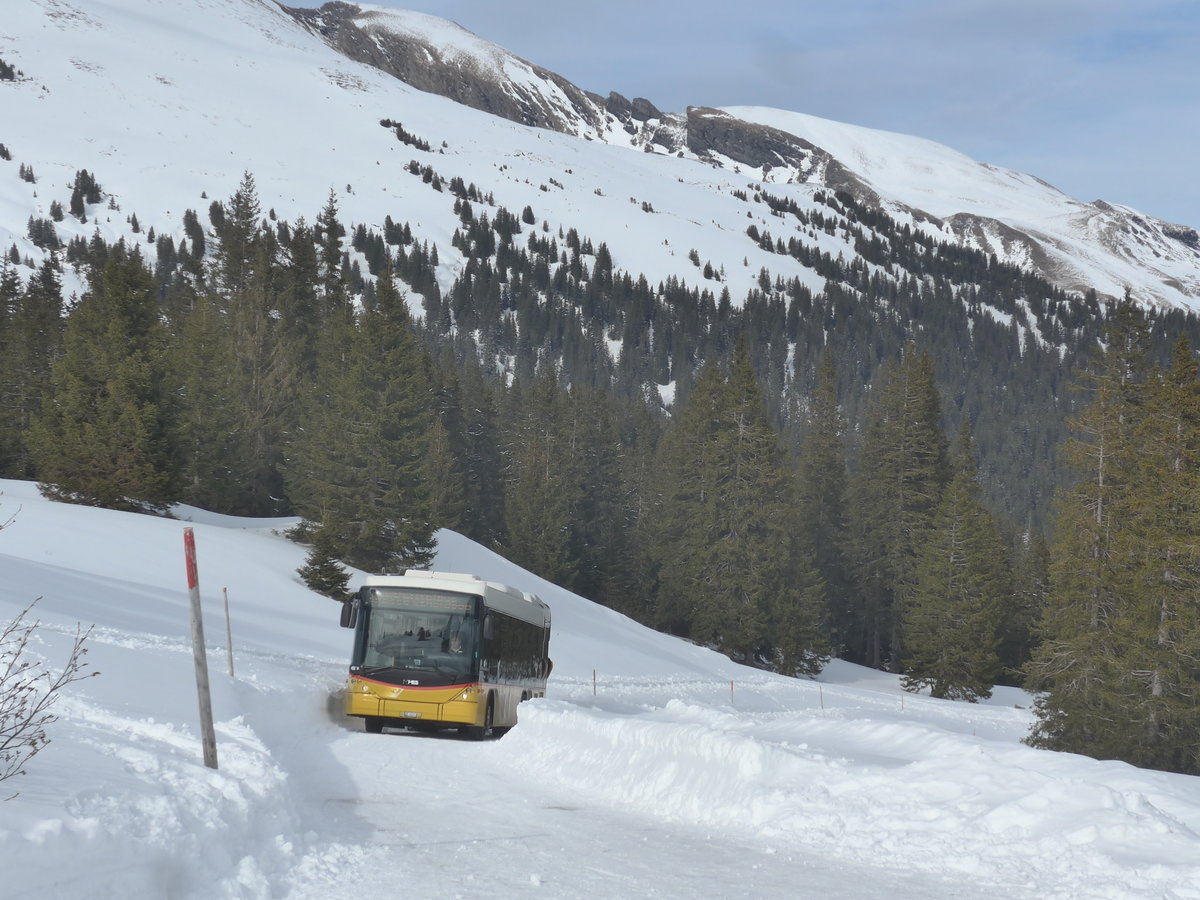 (215'085) - PostAuto Bern - BE 403'166 - Scania/Hess (ex AVG Meiringen Nr. 66; ex Steiner, Messen) am 8. M�rz 2020 in Grindelwald, Sch�rmstutz
