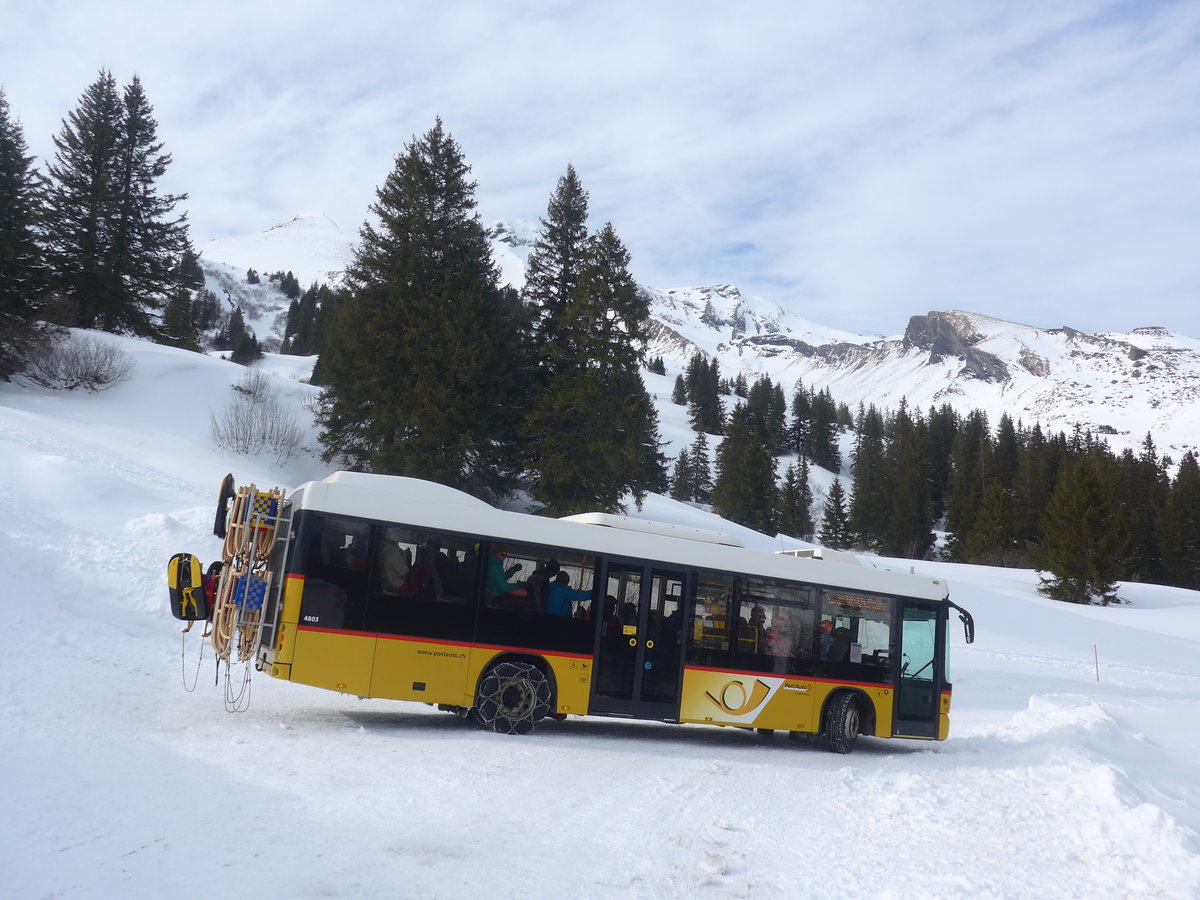 (215'088) - PostAuto Bern - BE 403'166 - Scania/Hess (ex AVG Meiringen Nr. 66; ex Steiner, Messen) am 8. M�rz 2020 in Grindelwald, Sch�rmstutz