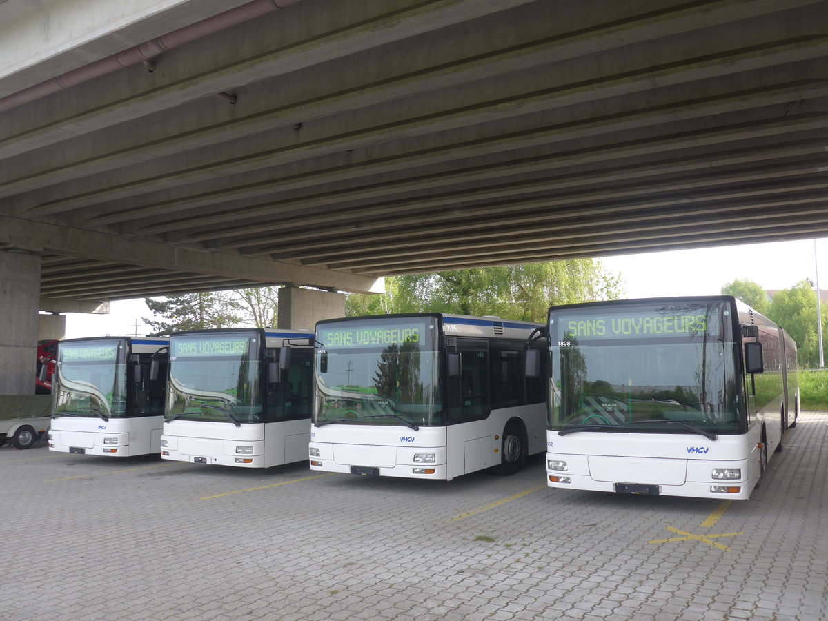 (216'265) - VMCV Clarens - Nr. 902 - MAN (ex transN, La Chaux-de-Fonds Nr. 246; ex TN Neuch�tel Nr. 246) am 19. April 2020 in Kerzers, Murtenstrasse